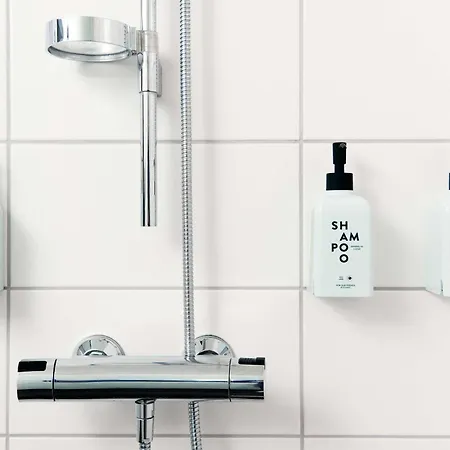 斯堪福尼布酒店 4*